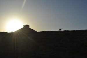 Best affordable places to stay in Israel_Mount Carmel