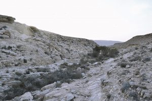 Canyon along Cistern Loop