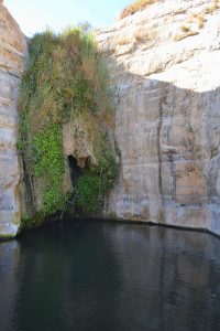 Natural Springs in Ein Akev